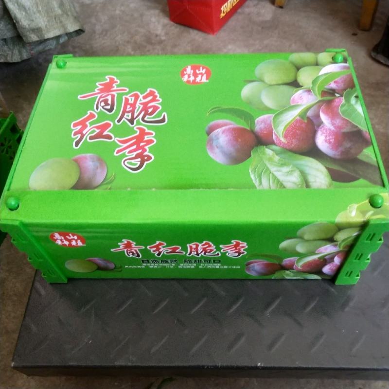 支持一件代发！