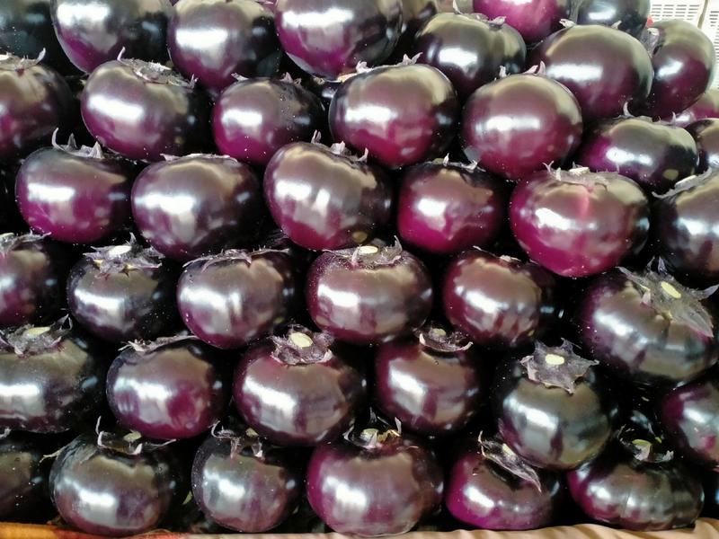 紫光圆茄4两以上色泽鲜亮，大小均匀，量大价格优惠