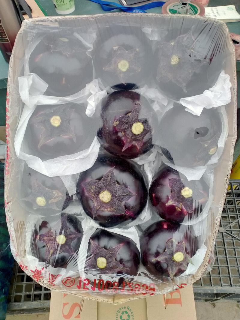 紫光圆茄4两以上色泽鲜亮，大小均匀，量大价格优惠