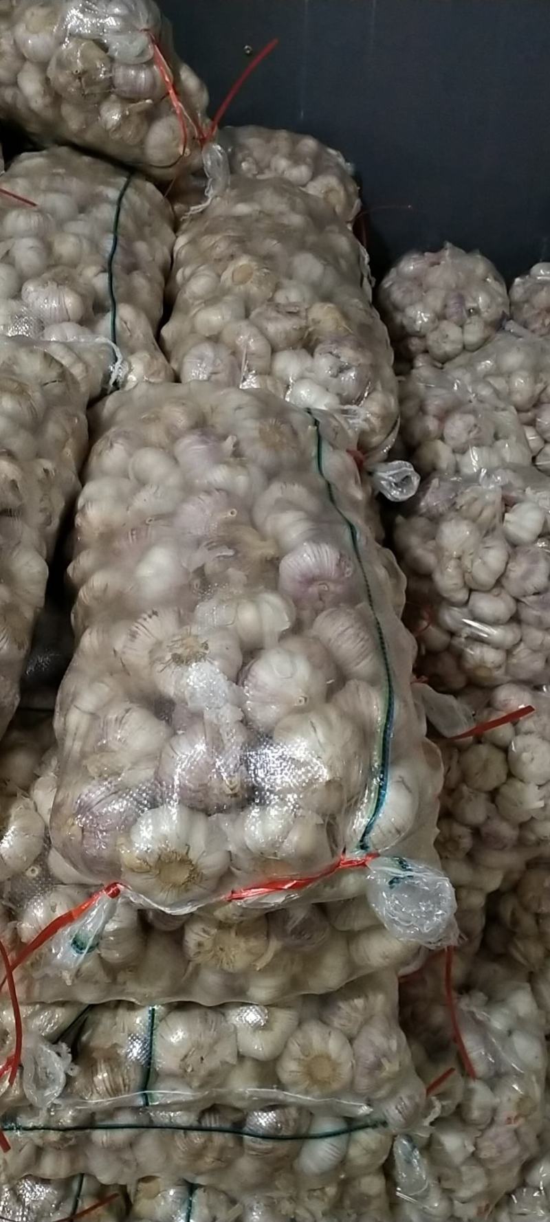 大蒜蒜瓣均匀，大小合适颜色好看2一年四季不断货