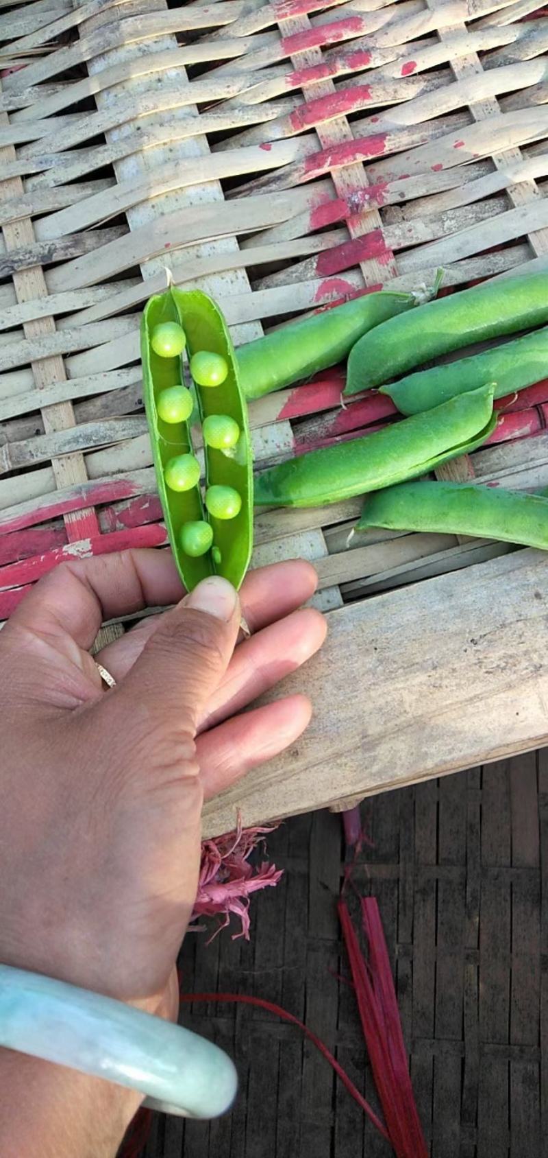 豌豆大掉价，需要的客户抓紧啦