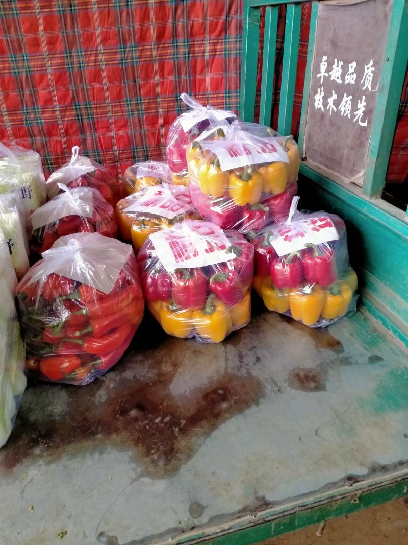 黄皮青椒7cm以上，颜色青绿，形状好看，四季有货
