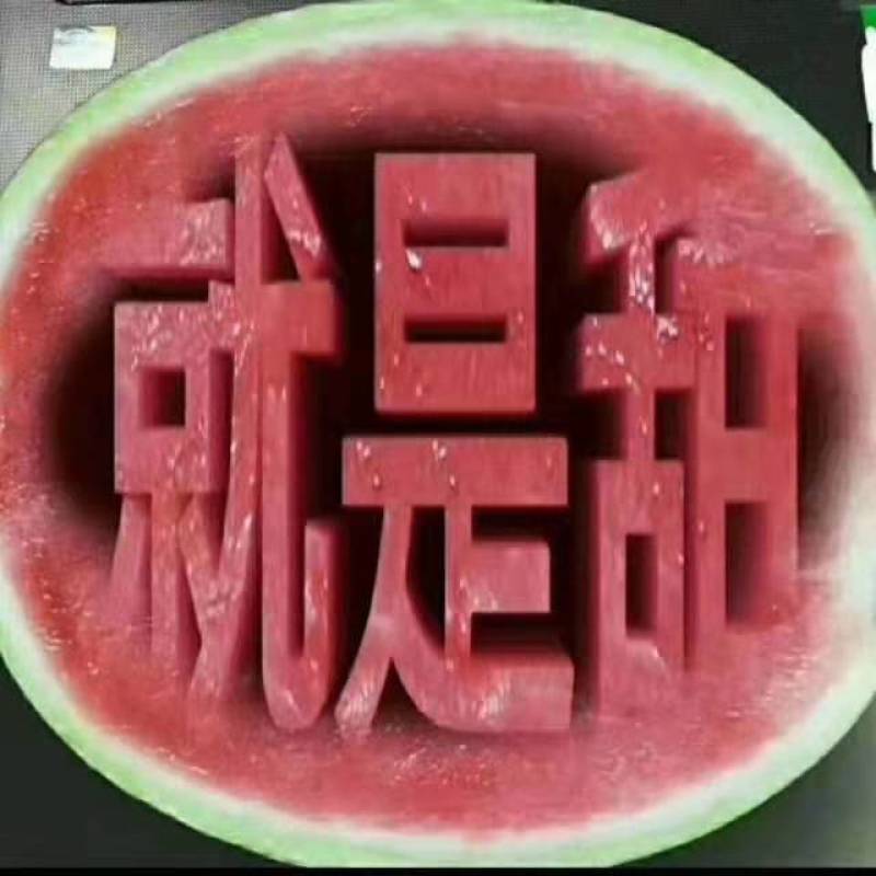 甜王西瓜纯沙地口感好质量保证