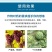 糖醇钙钙肥螯合钙防裂果脐腐病厂家直发量大优惠