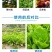 糖醇钙钙肥螯合钙防裂果脐腐病厂家直发量大优惠
