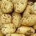 荷兰十五土豆，货源充足，支持全国各地发货。