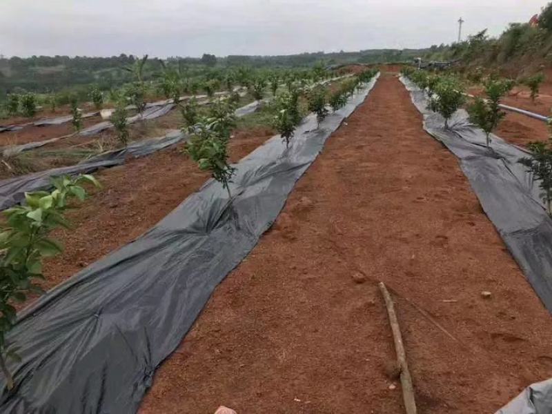 防草布除草布抗老化果园果树遮草盖草布农用园艺地布耐用透气