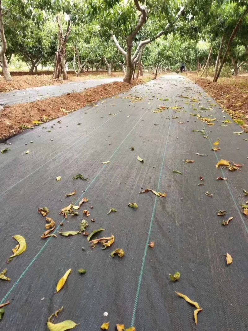 防草布除草布抗老化果园果树遮草盖草布农用园艺地布耐用透气