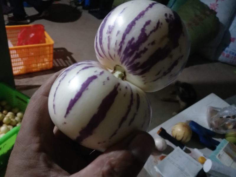 石林人参果
