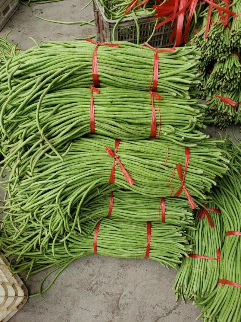 长豆角，精品豇豆，长豇豆，精品供应，全国发货。专业代收