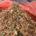 金银花无杂质全新通货，中国人自己的药材