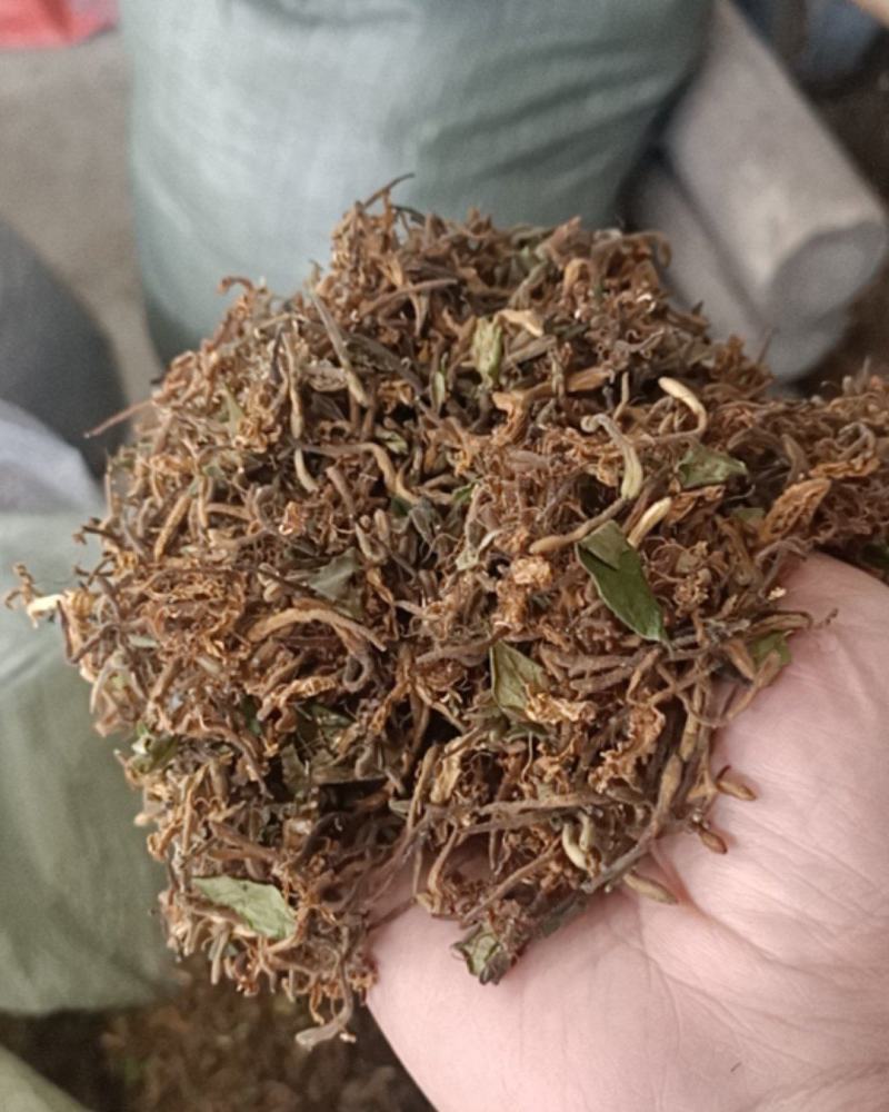 金银花无杂质全新通货，中国人自己的药材