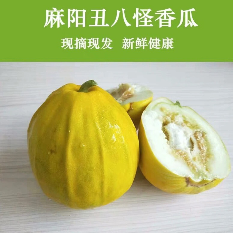 正宗麻阳冰糖丑八怪薄皮香瓜甜瓜新鲜采摘**电商平台批发