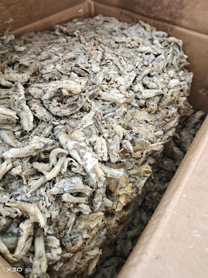 饲料小鱼喂虾蟹鱼食用油炸烘干盐干自家加工一手货源