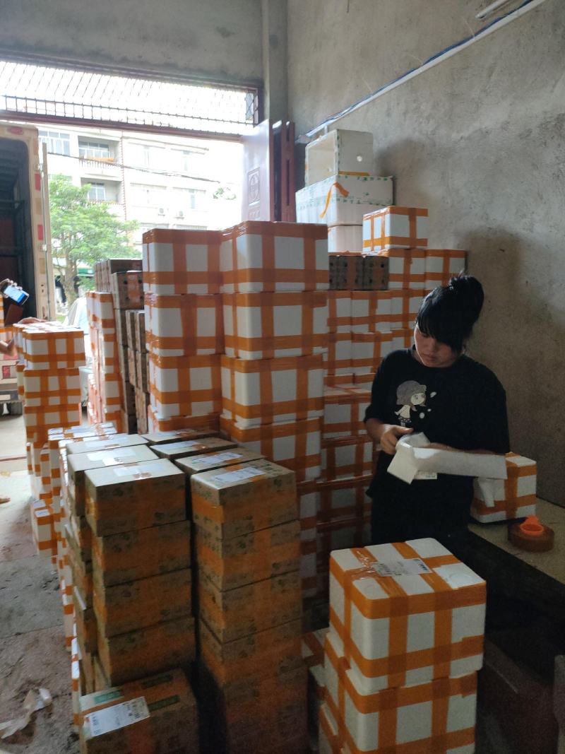 基地现摘现发一件代发紫色百香果1斤3斤5斤9斤包邮