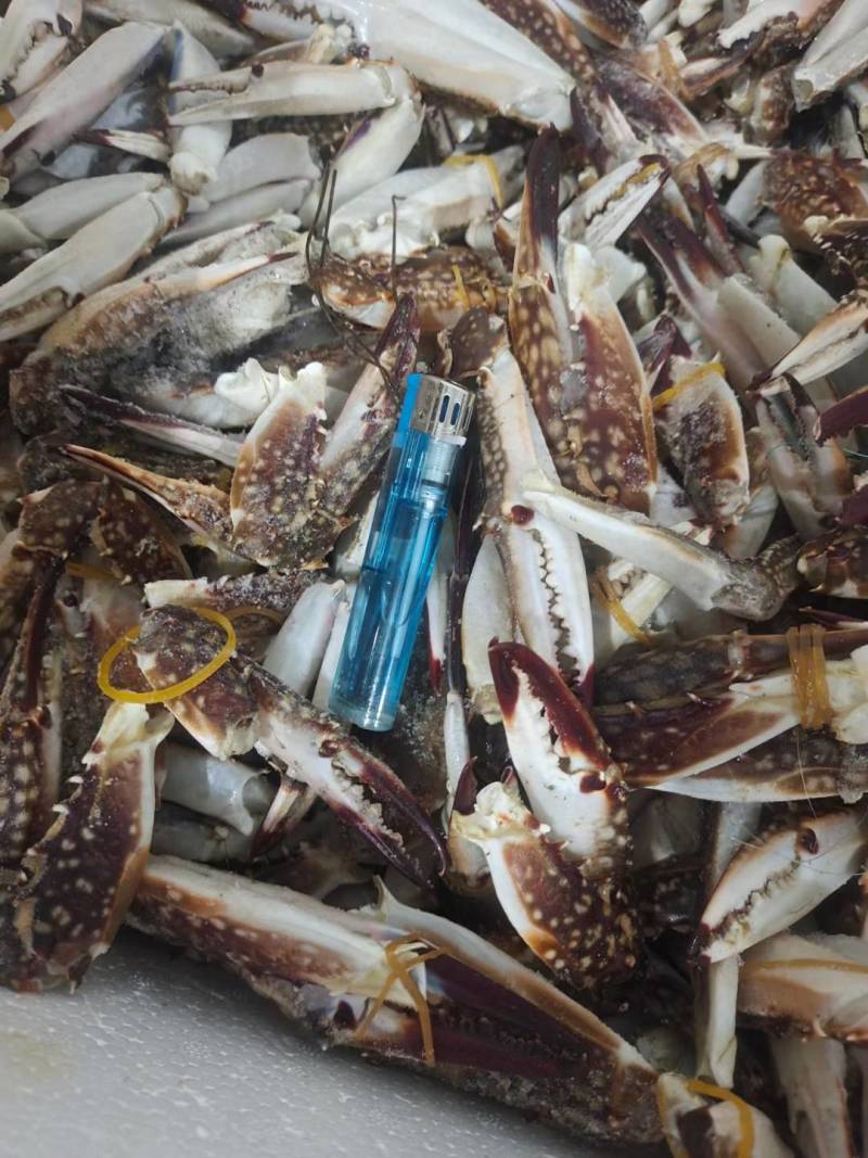 单体新鲜速冻梭子蟹退，沙蟹腿，保证货物质量