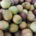 草莲麻莲