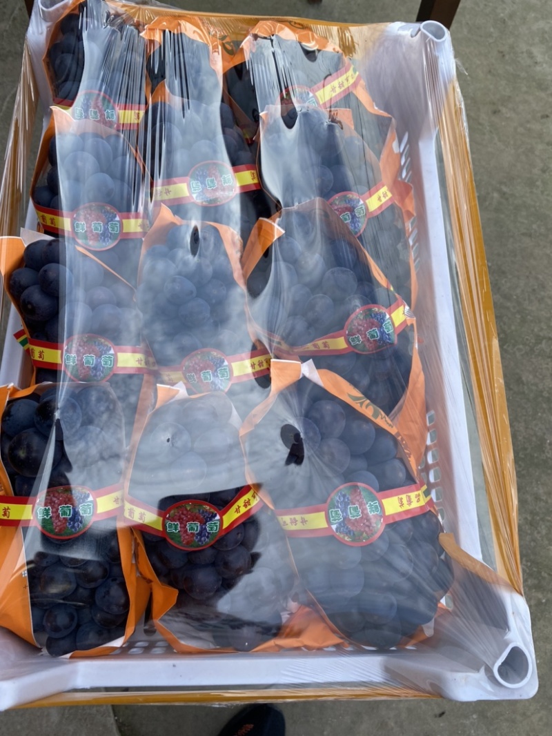 夏黑湖北公安万亩大棚夏黑葡萄大量上市了质量优良