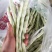 白不老芸豆。产地一手货源，物美价廉。全国发货，欢迎采购，