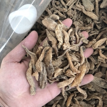 昭通天麻小天麻足干小天麻昭通天麻打粉小天麻打粉