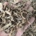 昭通天麻小天麻足干小天麻昭通天麻打粉小天麻打粉