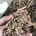 昭通天麻小天麻足干小天麻昭通天麻打粉小天麻打粉