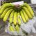 进口菲律宾特价香蕉，常年大量供应，欢迎联系看货