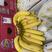 进口菲律宾特价香蕉，常年大量供应，欢迎联系看货