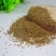芹菜籽五斤包邮子粉香料调料大全天然级特优质泡茶水芹菜籽大