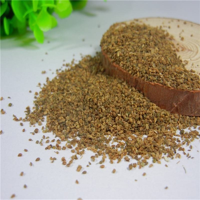 芹菜籽五斤包邮子粉香料调料大全天然级特优质泡茶水芹菜籽大