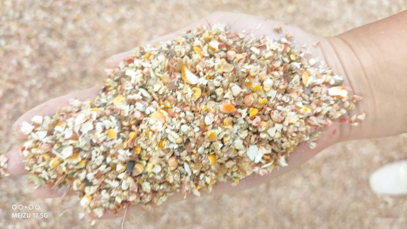 碎玉米8个粮杂质霉变少养殖专用质量杠
