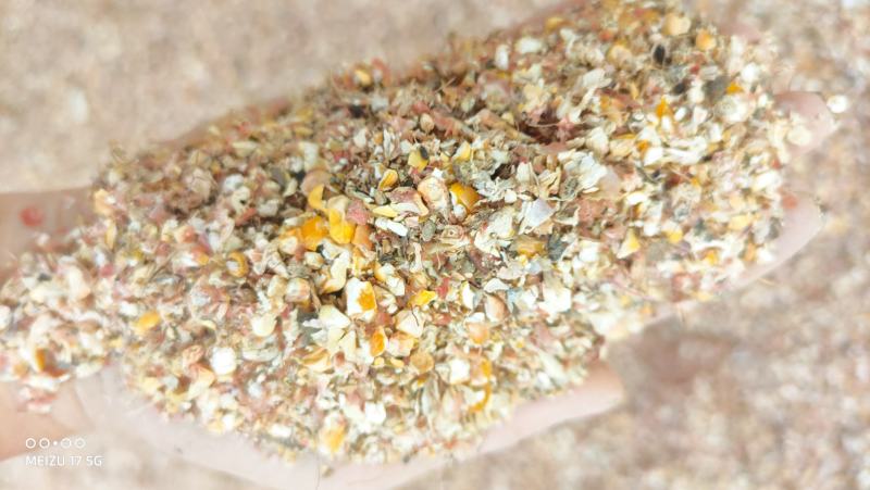 碎玉米8个粮杂质霉变少养殖专用质量杠