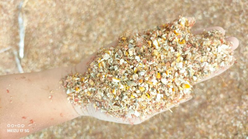 碎玉米8个粮杂质霉变少养殖专用质量杠
