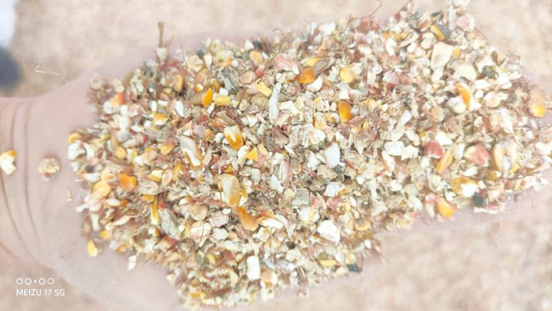 碎玉米8个粮杂质霉变少养殖专用质量杠