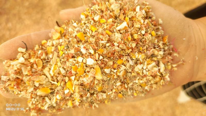 碎玉米8个粮杂质霉变少养殖专用质量杠