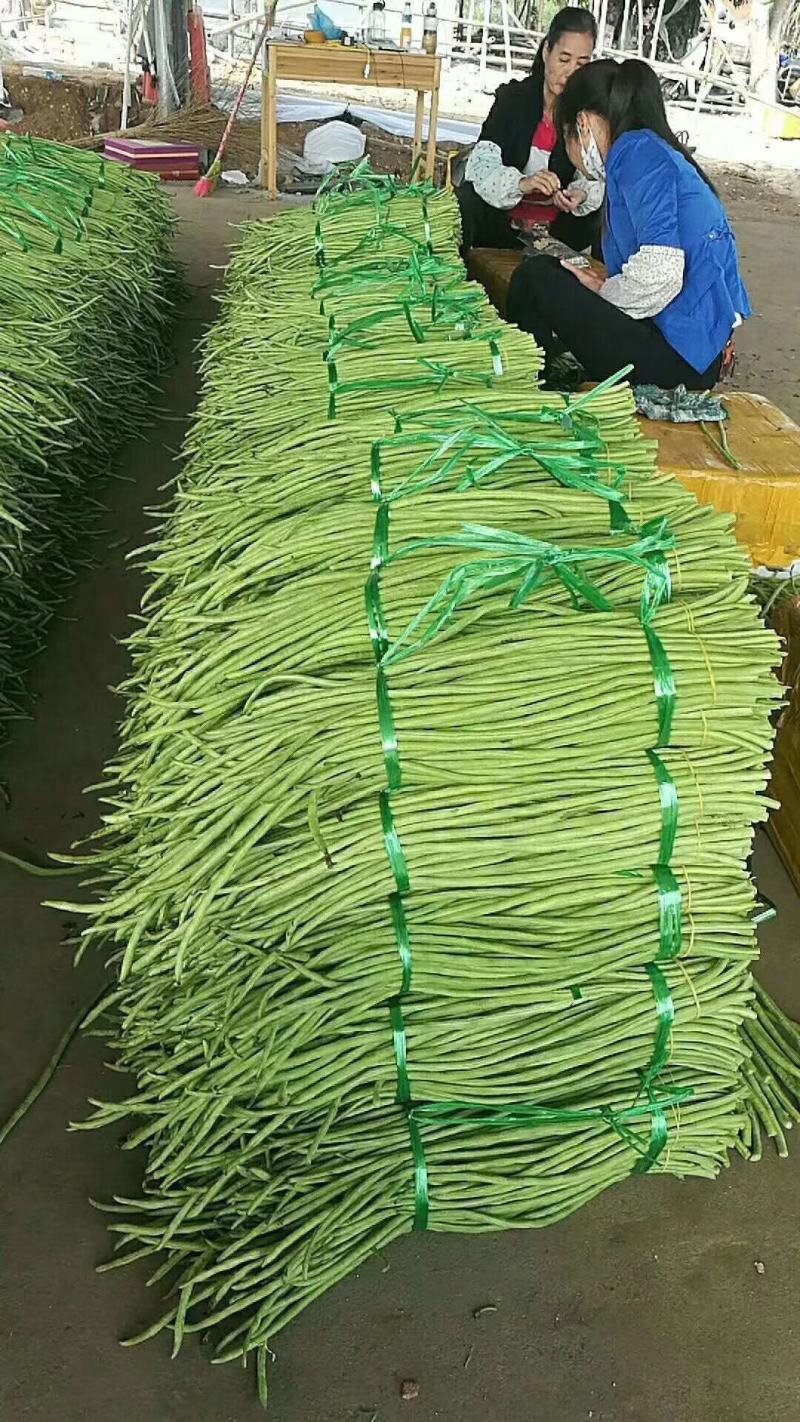 通货豆角青条，发市场超市盐质烘干保质保量长度50-70