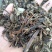 一公斤包邮石见穿冷背货量大从优