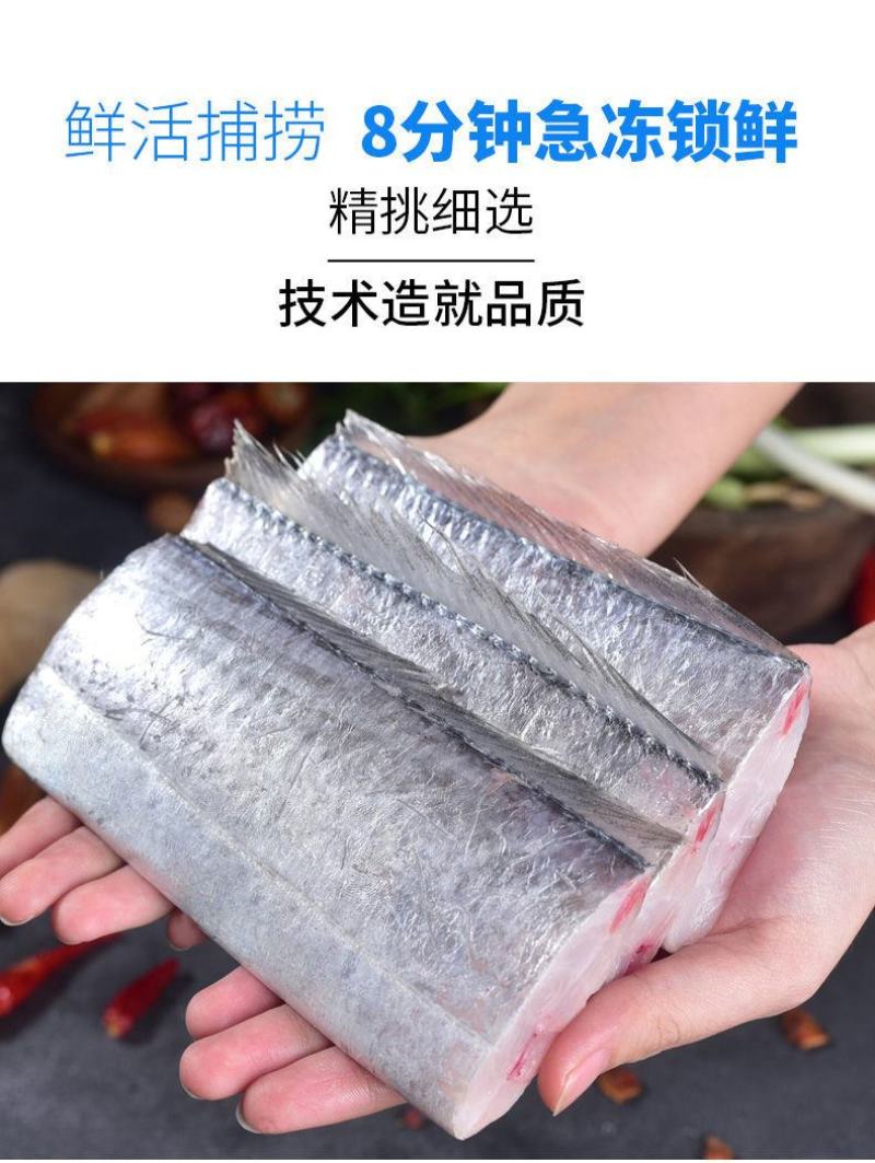 【包邮】批发舟山带鱼段带冰5斤海捕新鲜冷冻带鱼中段去头尾