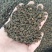吴茱萸(包邮)，3斤起批发，零售量大从优