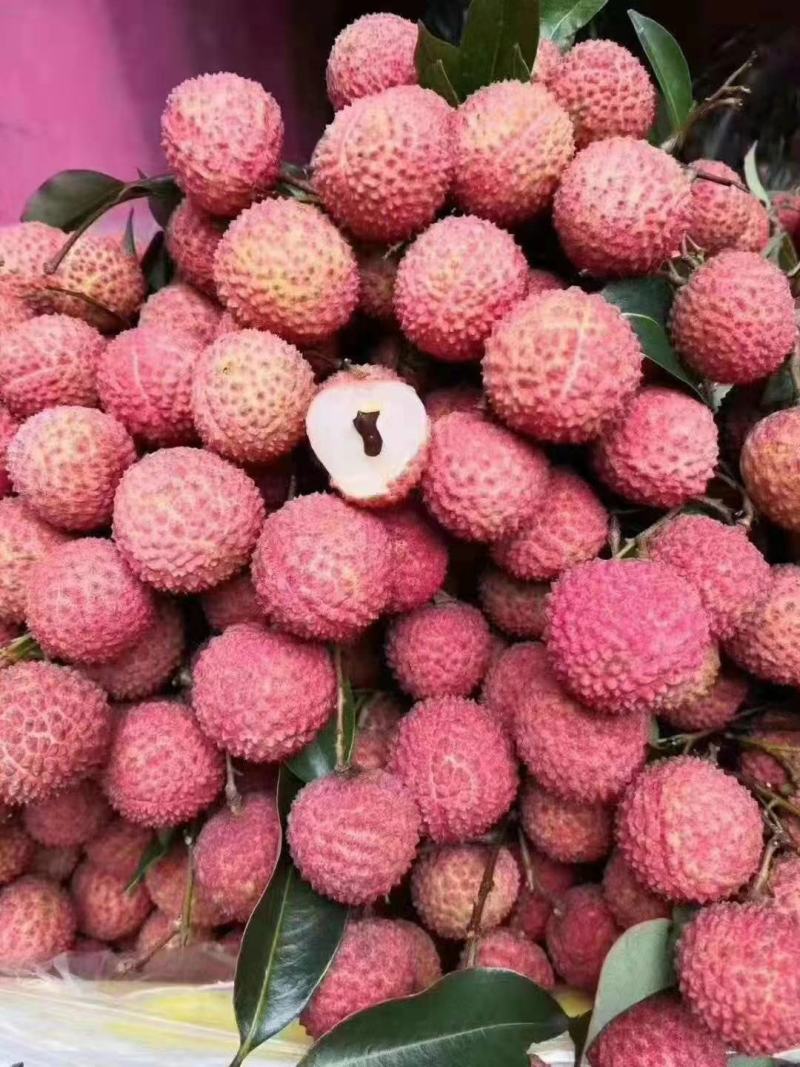 桂味，荔枝中的精品