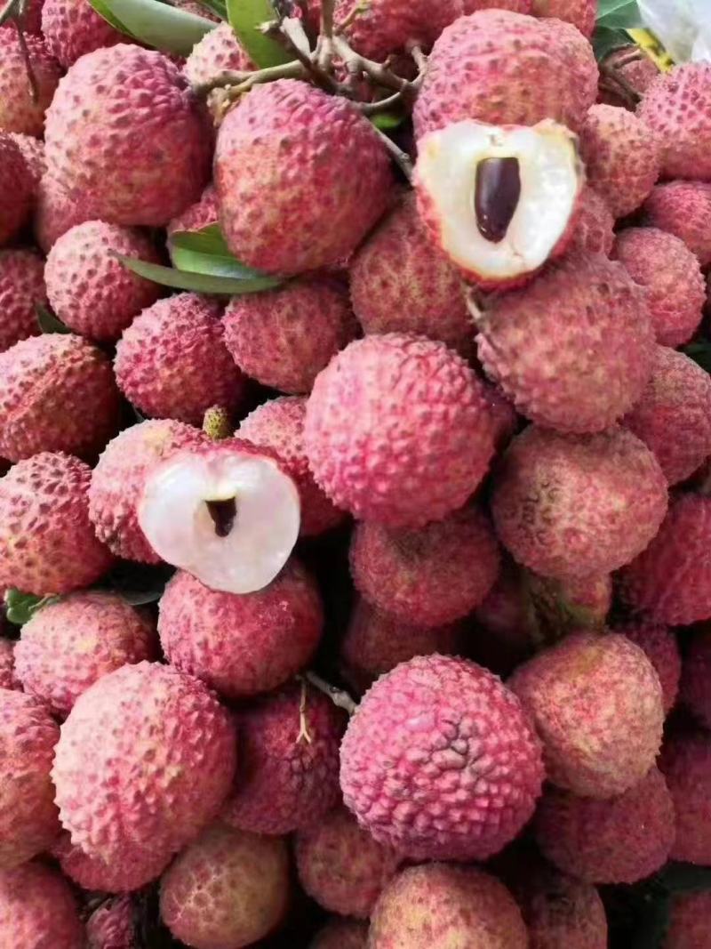 桂味，荔枝中的精品