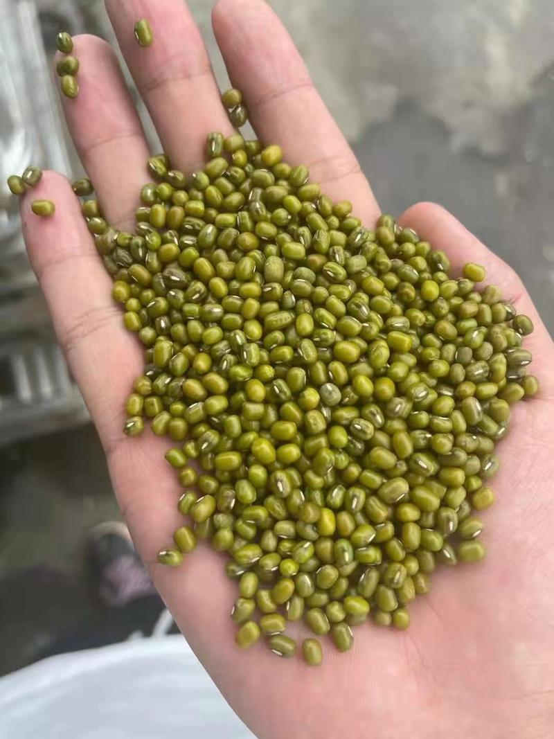 进口缅甸优质绿豆，3.0-4.0规格，现货