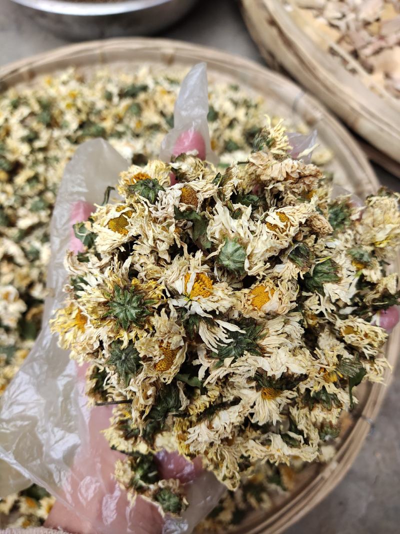 中药材菊花菊花茶杭州白菊花500g包邮