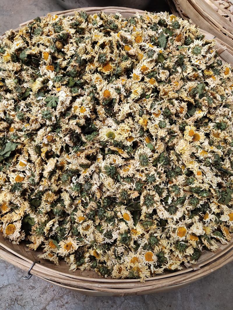 中药材菊花菊花茶杭州白菊花500g包邮
