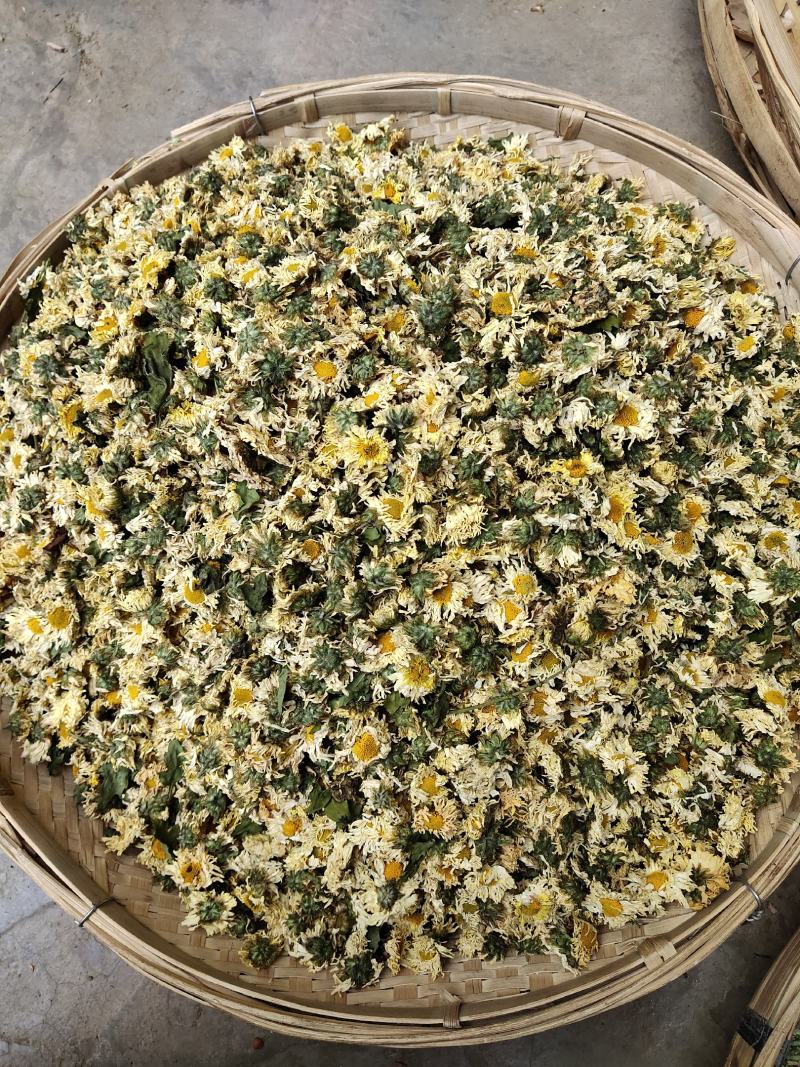 中药材菊花菊花茶杭州白菊花500g包邮