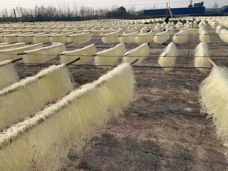 豌豆粉丝，跑江湖地摊赶集吼货宝鸡豌豆粉丝，现货供应