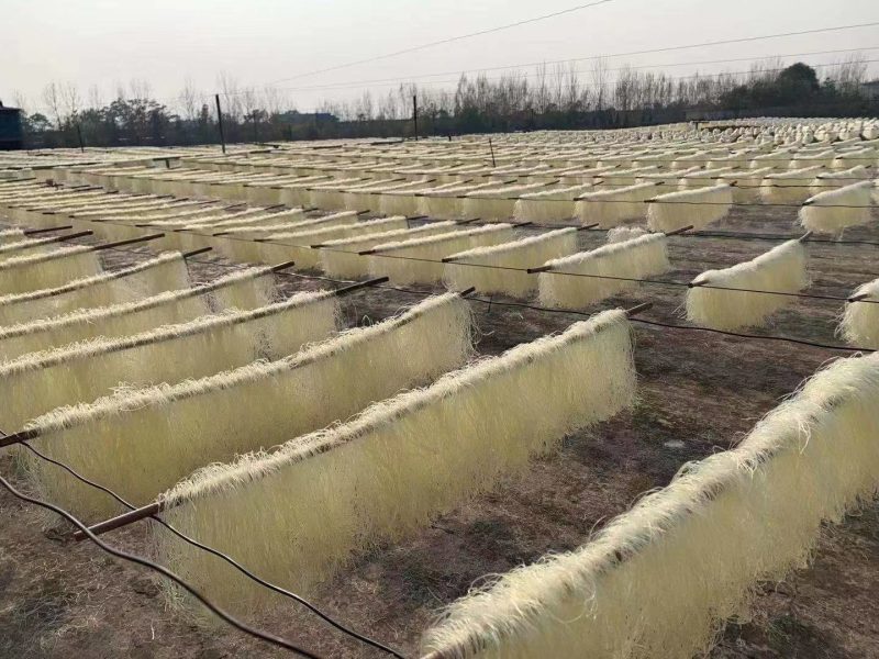 豌豆粉丝，跑江湖地摊赶集吼货宝鸡豌豆粉丝，现货供应