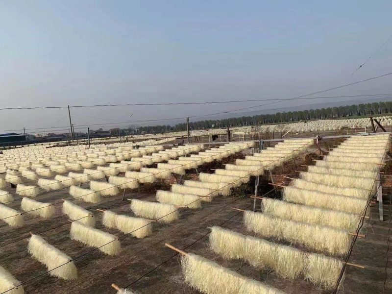 豌豆粉丝，跑江湖地摊赶集吼货宝鸡豌豆粉丝，现货供应
