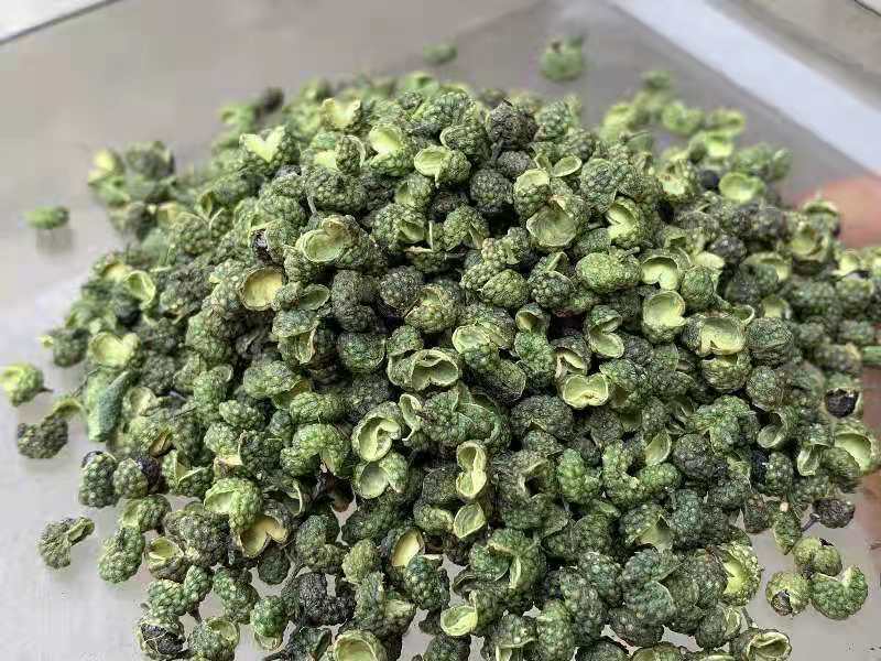2022年精选青麻椒YY特级色选无刺质量好价格低产地直销