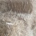 小麦秸秆，小麦秸，麦秆